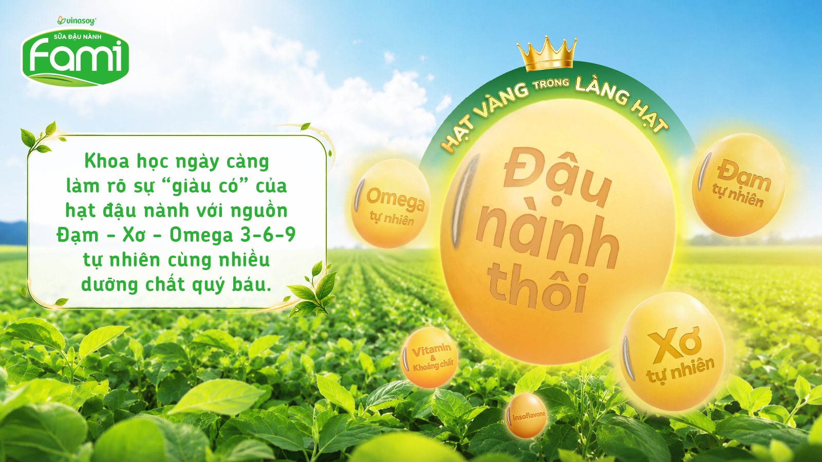 Câu chuyện của “hạt vàng tự nhiên”: Từ hạt đậu nành nhỏ bé đến kho dưỡng chất lành quý báu - Ảnh 1.