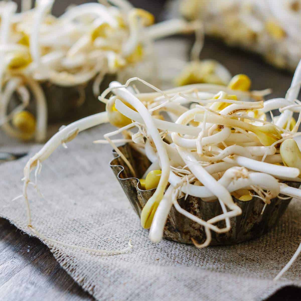 Loại rau được ví là "nhân sâm", bồi bổ ngũ tạng, thanh nhiệt giải độc: Bán quanh năm đầy chợ- Ảnh 1.
