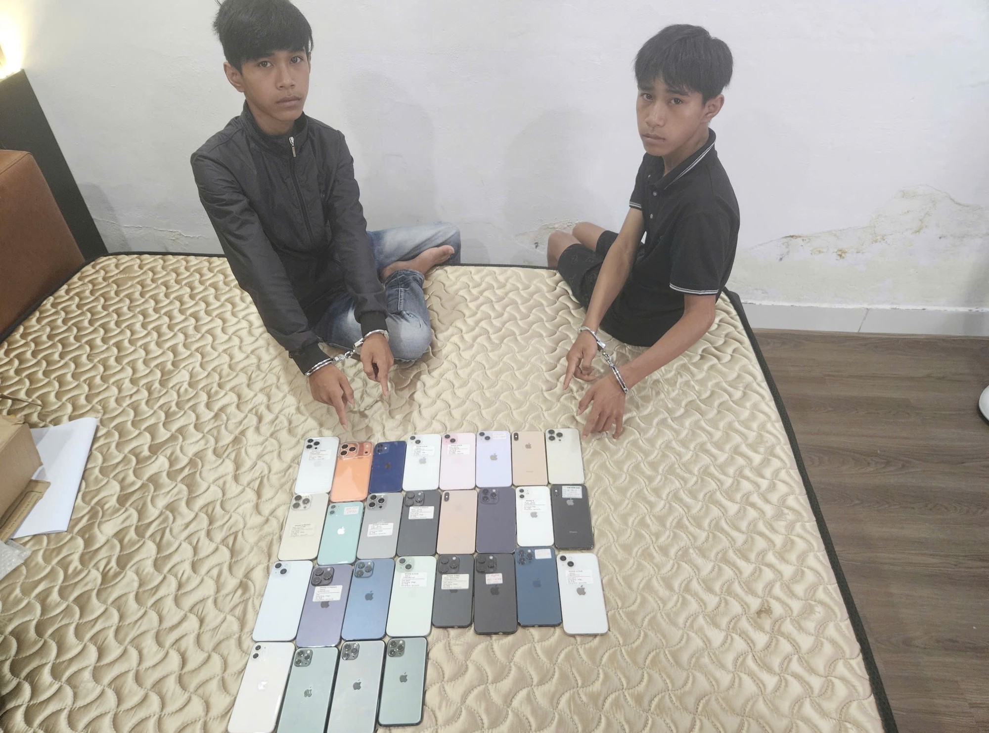 Bắt khẩn cấp 2 anh em sinh đ&ocirc;i Trần Nhật Trung v&agrave; Trần Nhật Quốc tại một nh&agrave; nghỉ - Ảnh 1.