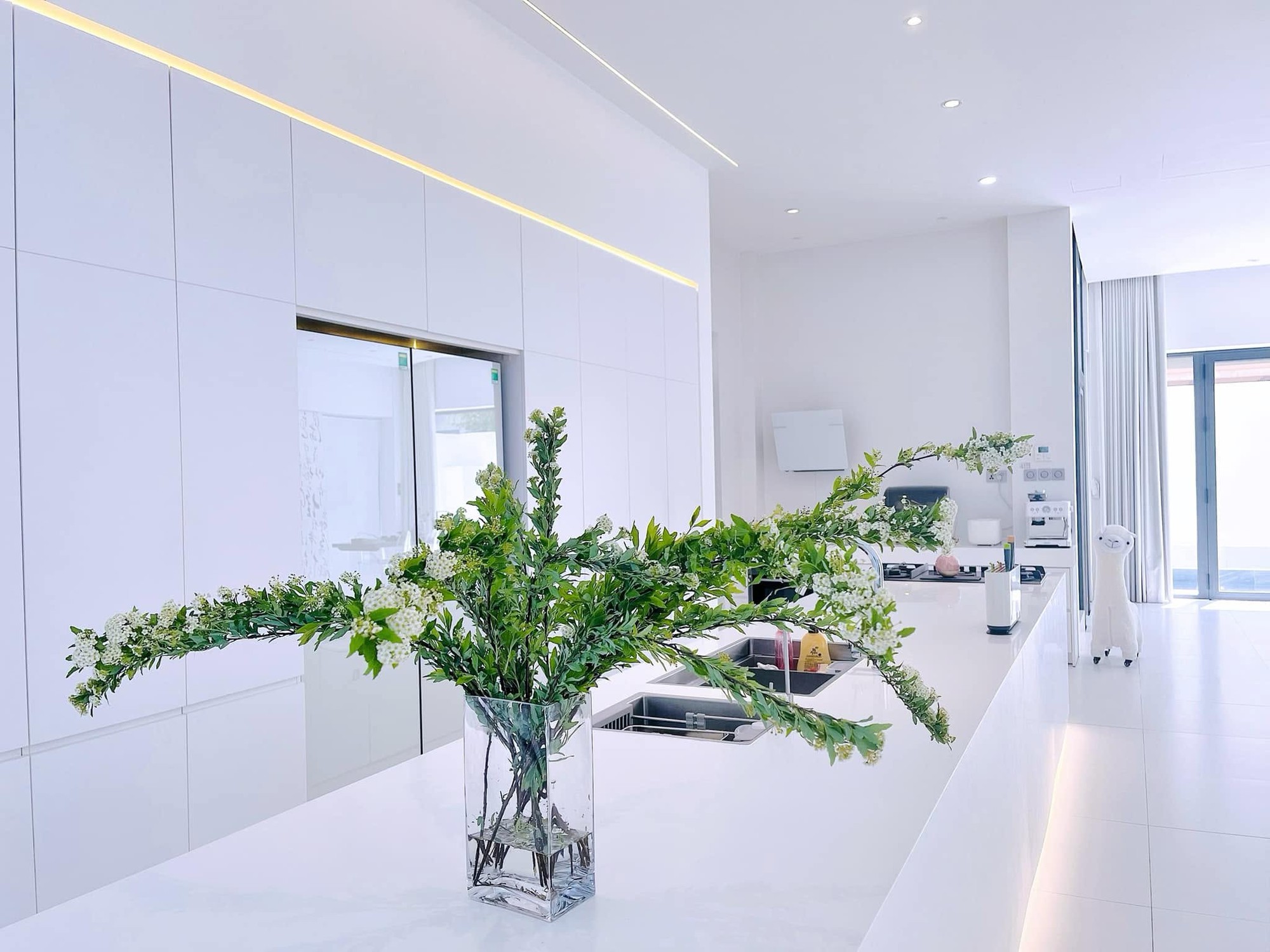 Biệt thự trắng 300m2 của ca sĩ Thủy Tiên- Ảnh 6.