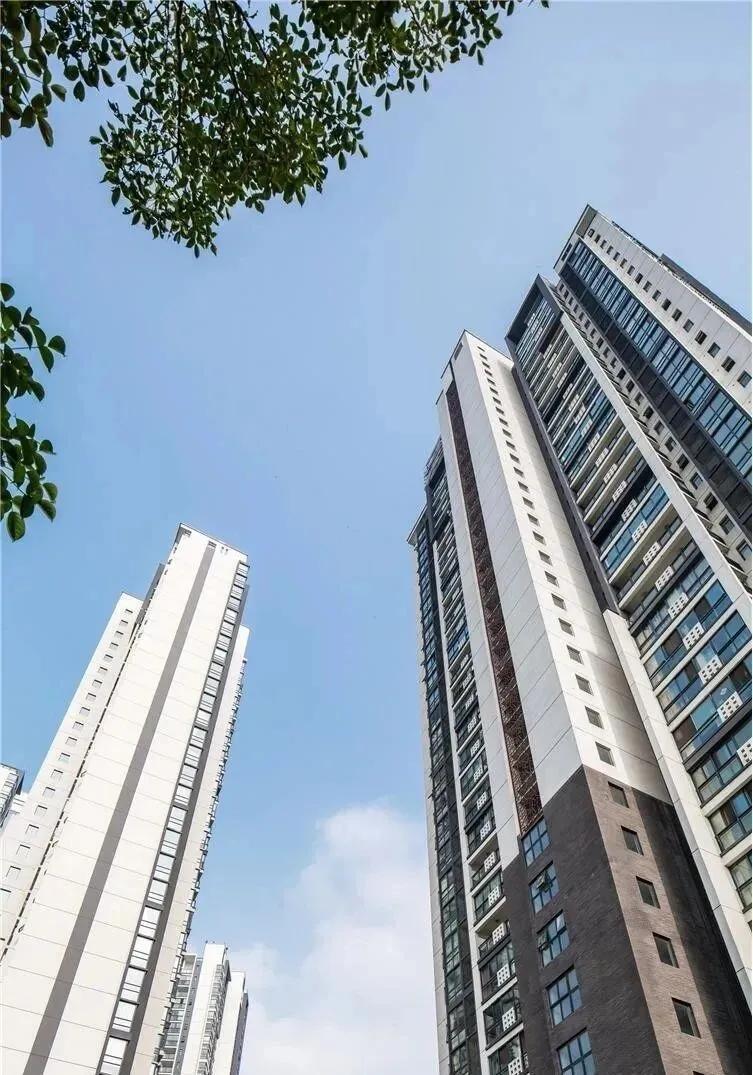 3 năm trước nhất quyết không mua căn hộ tầng cao, giờ tôi càng thấy quyết định ấy không hề sai- Ảnh 5.