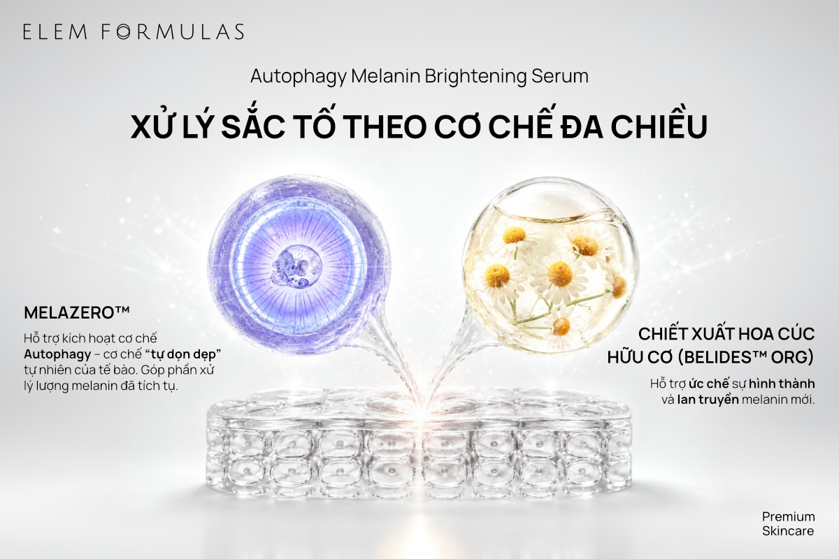ELEM FORMULAS: Serum Autophagy và hành trình tái lập nền da khỏe - Ảnh 3.