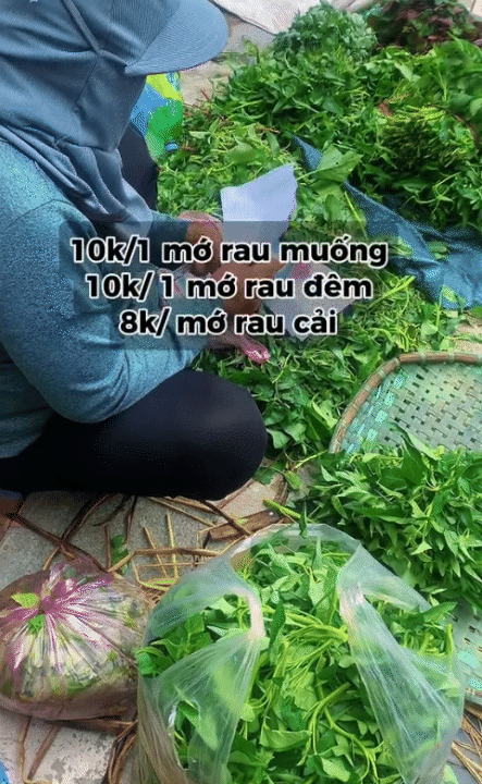 Thu nhập 10 triệu đồng, nuôi 2 con nhỏ vẫn xoay đủ: Bảng chi tiêu 9,5 triệu của mẹ 9X Hải Phòng gây chú ý- Ảnh 16.