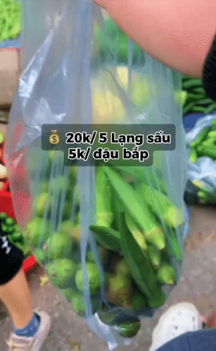 Thu nhập 10 triệu đồng, nuôi 2 con nhỏ vẫn xoay đủ: Bảng chi tiêu 9,5 triệu của mẹ 9X Hải Phòng gây chú ý- Ảnh 14.