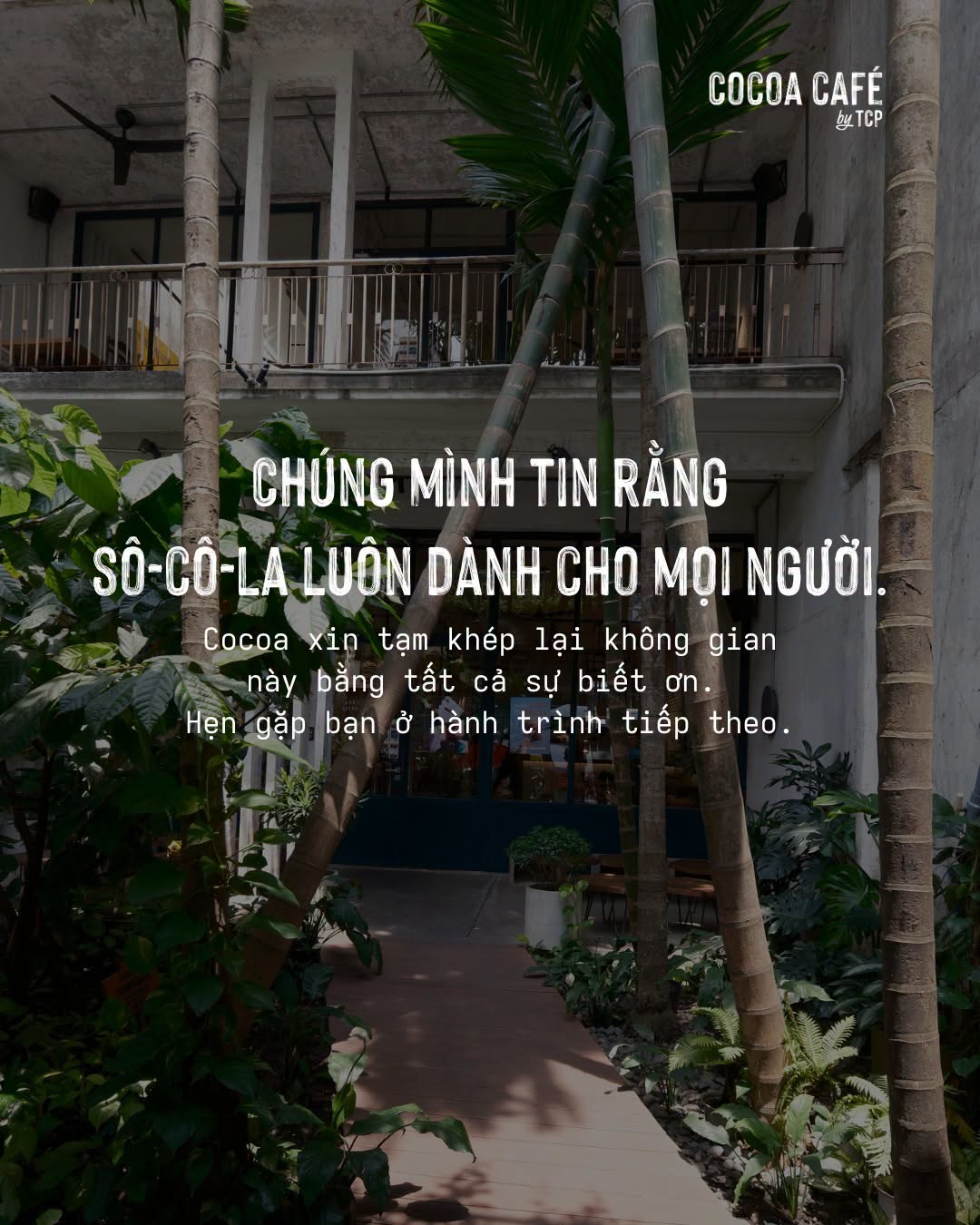 Tăng gi&aacute; l&ecirc;n 90.000 đồng, The Cocoa Project vẫn phải đ&oacute;ng cửa sau 5 năm- Ảnh 2.