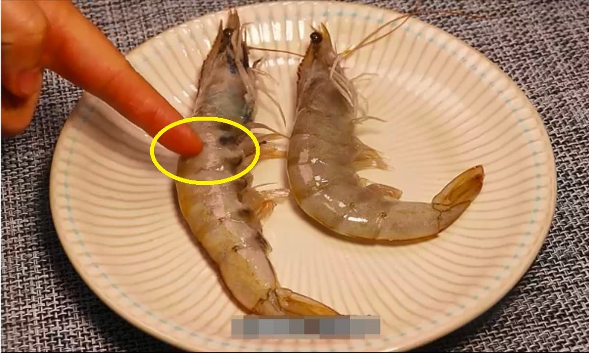 Chủ cửa h&agrave;ng hải sản 20 năm n&oacute;i thẳng: 5 loại t&ocirc;m c&oacute; cho kh&ocirc;ng cũng đừng lấy, chỉ người "dại" mới mua- Ảnh 3.