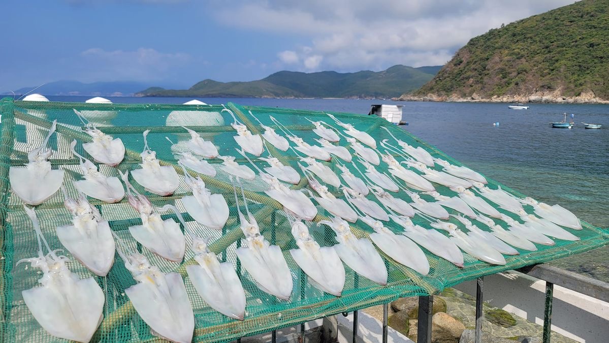 Địa điểm được truyền tai nhau l&agrave; nơi c&oacute; nước biển trong nhất Việt Nam, đến nay vẫn chưa từng c&oacute; kh&aacute;ch sạn n&agrave;o - Ảnh 10.