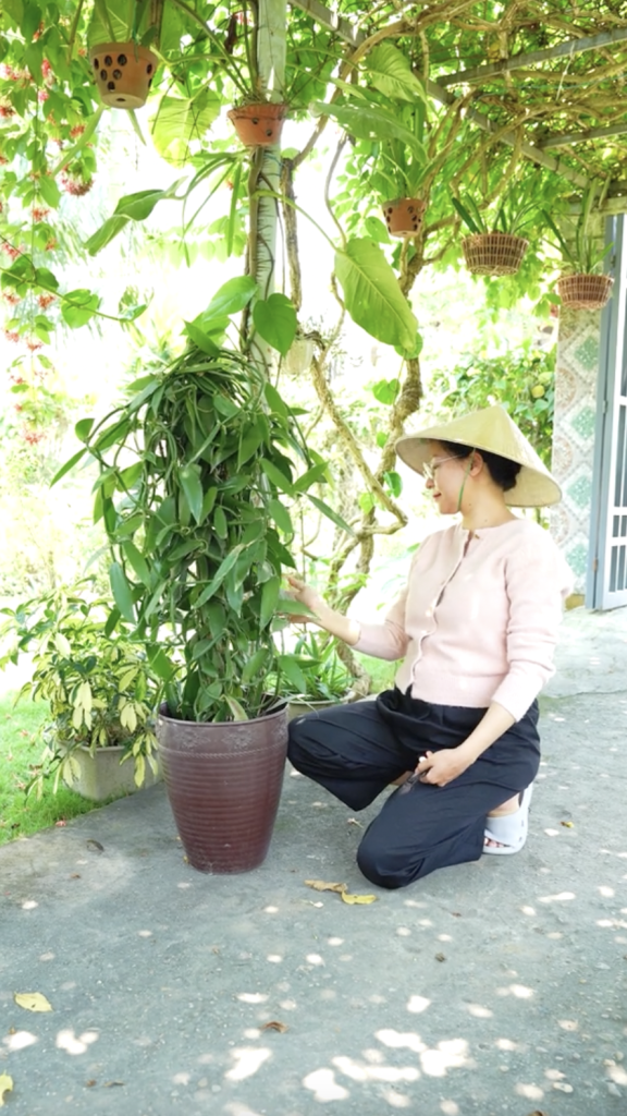 Căn nhà ở quê của Út Về Vườn- Ảnh 5.