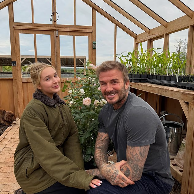 Tiểu thư Harper tự tay thiết kế b&ocirc;ng hồng đặc biệt tặng bố, David Beckham liền mang b&oacute; hoa đi đăng k&iacute; thương hiệu mới "o&aacute;ch"- Ảnh 1.