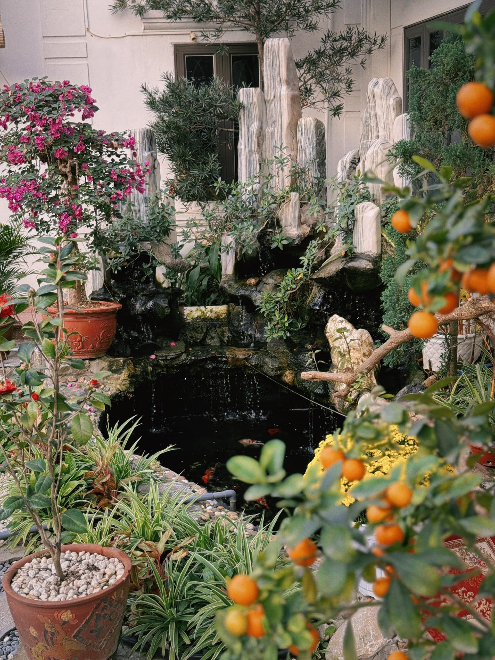 Nh&agrave; ở qu&ecirc; của Ho&agrave; Minzy- Ảnh 4.