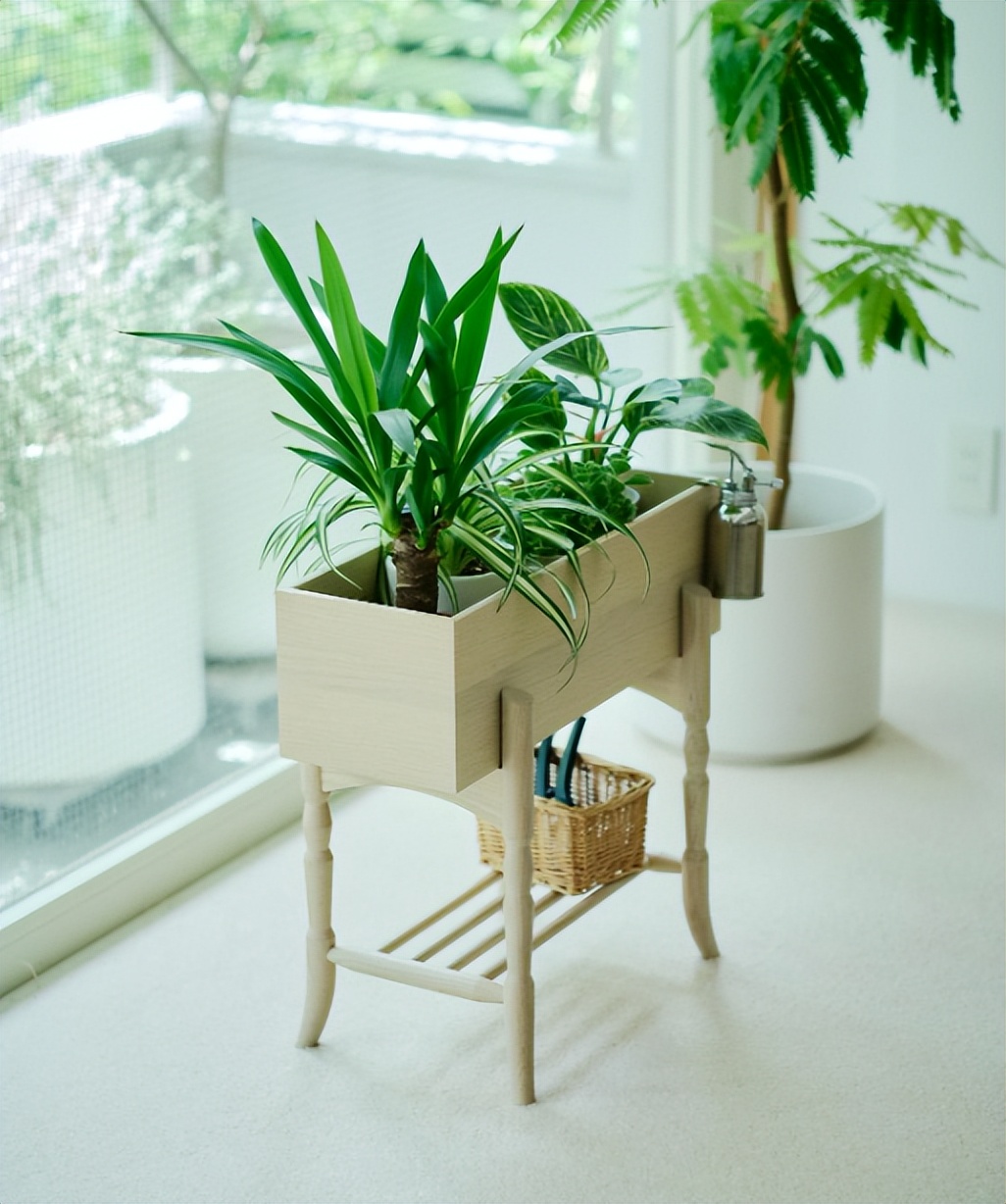 Bà mẹ nội trợ Nhật Bản chia sẻ ngôi nhà khiến nhiều người mê mẩn: Hạnh phúc đôi khi chỉ là được sống giữa những thứ mình thật sự yêu- Ảnh 1.