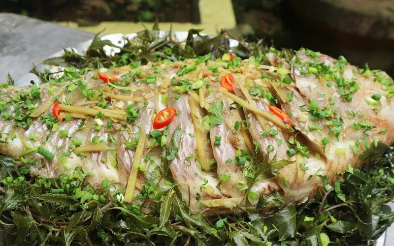 Việt Nam c&oacute; loại quả gi&aacute; rẻ được v&iacute; như "thịt của người ăn chay": Bệnh ung thư, tim mạch, tiểu đường đều "sợ" - Ảnh 3.