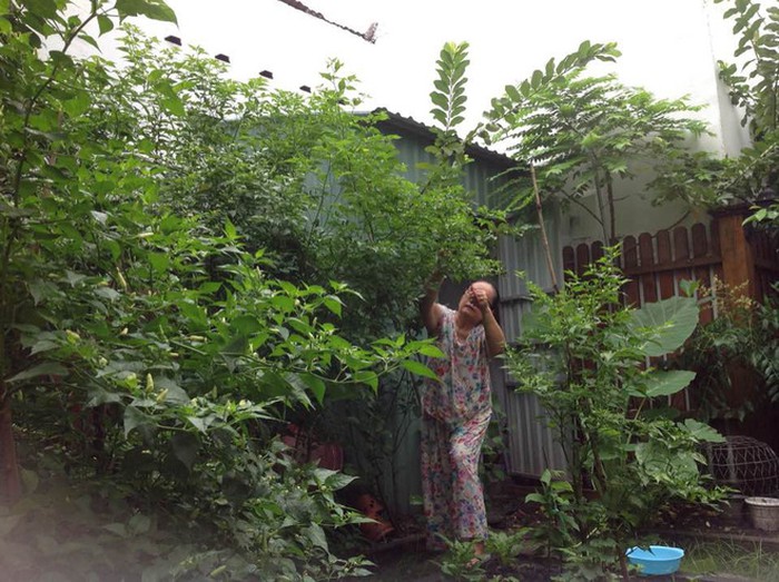 Căn nh&agrave; của bố mẹ ruột Tăng Thanh H&agrave;  - Ảnh 1.