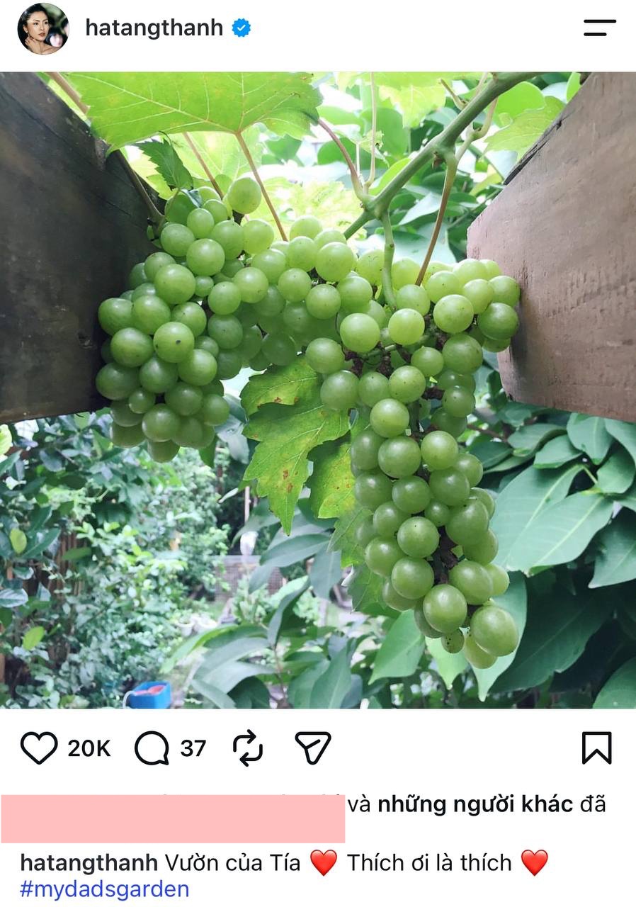 Căn nh&agrave; của bố mẹ ruột Tăng Thanh H&agrave;  - Ảnh 3.