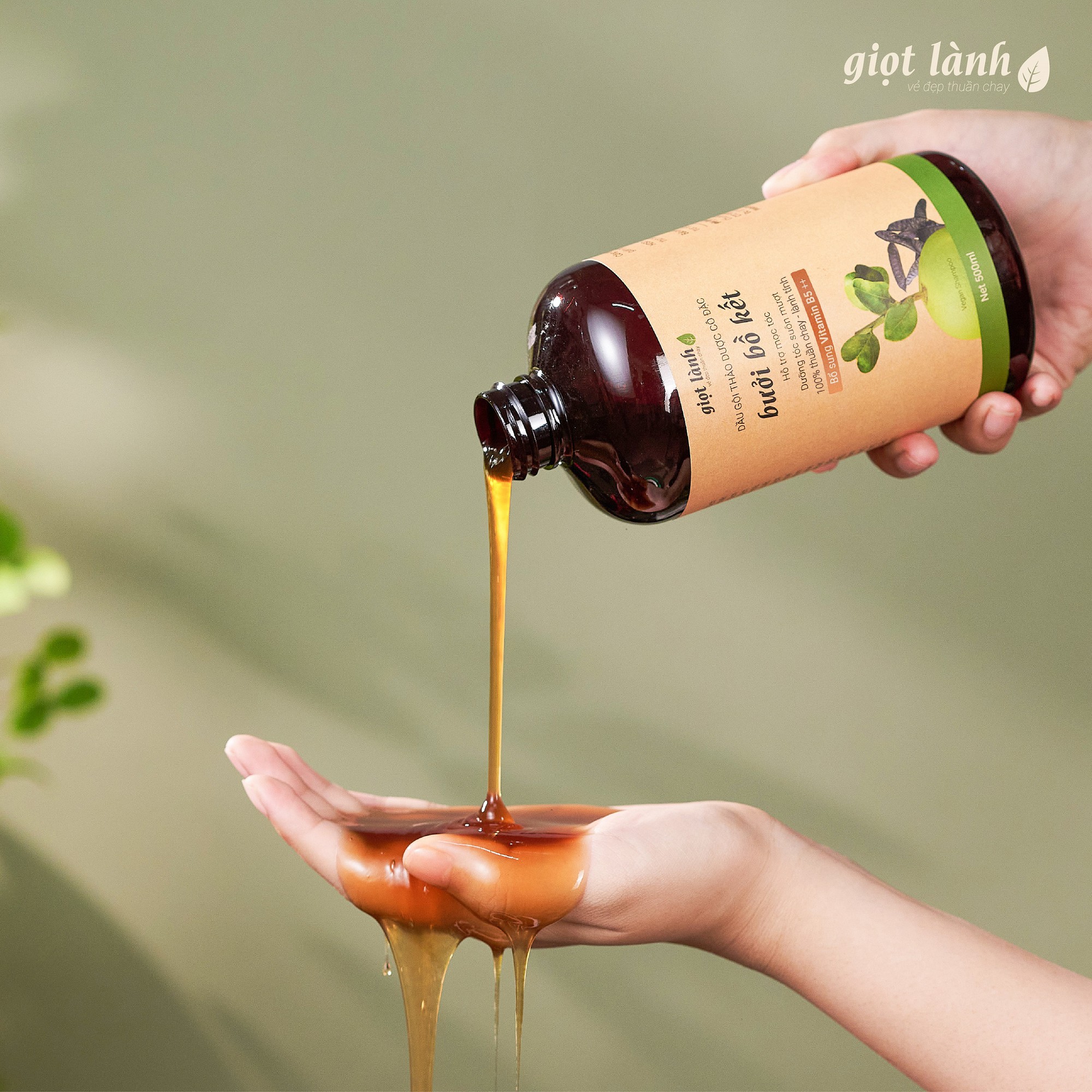 5 dầu gội bồ kết "made in Vietnam" gi&uacute;p t&oacute;c đen b&oacute;ng, d&agrave;y mượt - Ảnh 6.