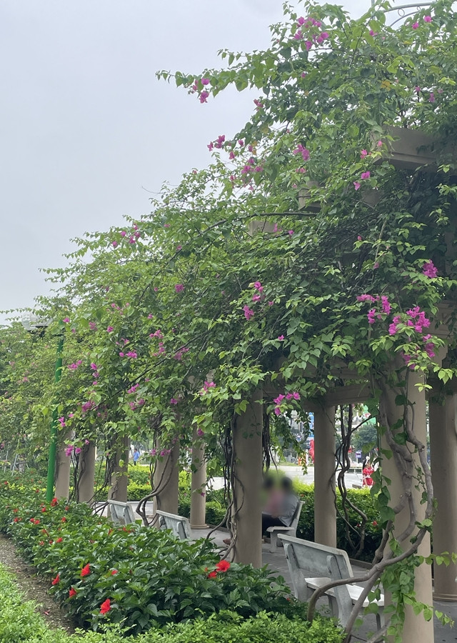 L&yacute; do ở c&ocirc;ng vi&ecirc;n thường xuất hiện gi&agrave;n cột b&ecirc; t&ocirc;ng &ldquo;kh&ocirc;ng m&aacute;i&rdquo;?- Ảnh 3.