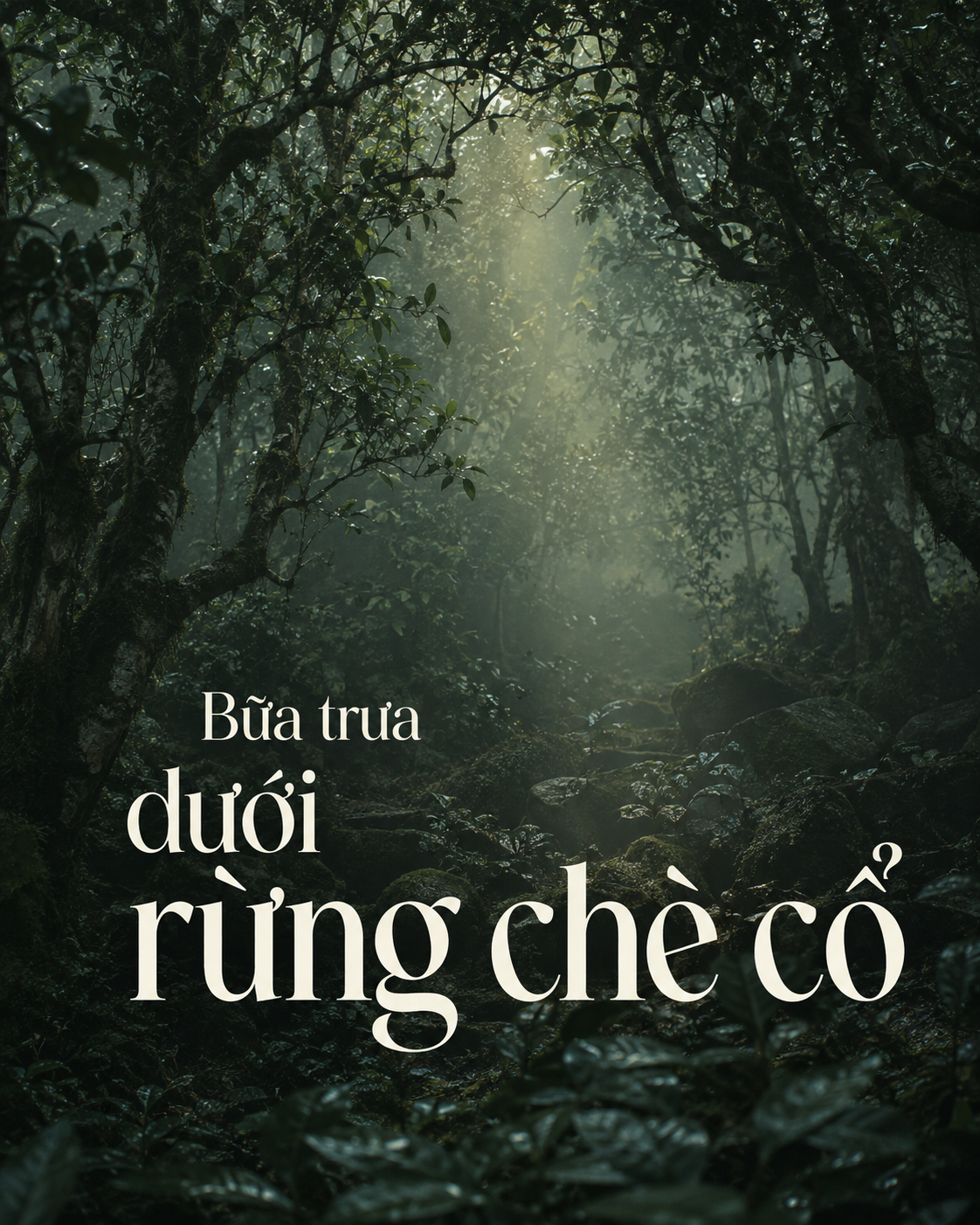 Những bức ảnh chưa từng thấy về c&aacute;p treo Fansipan 10 năm trước: Đằng sau 15 ph&uacute;t l&ecirc;n n&oacute;c nh&agrave; Đ&ocirc;ng Dương - Ảnh 10.