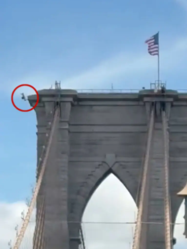 Khoảnh khắc sốc: Người đàn ông đột ngột nhảy xuống từ đỉnh cầu Brooklyn (New York) trên độ cao 85 mét - Ảnh 3.