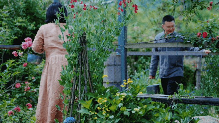 Bỏ việc ở tuổi 40, cặp vợ chồng kỹ sư về qu&ecirc; cải tạo nh&agrave; cổ, l&agrave;m khu vườn 1.200m&sup2;: 7 năm sau kh&ocirc;ng muốn trở lại th&agrave;nh phố- Ảnh 9.