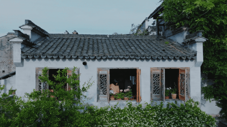 Bỏ việc ở tuổi 40, cặp vợ chồng kỹ sư về qu&ecirc; cải tạo nh&agrave; cổ, l&agrave;m khu vườn 1.200m&sup2;: 7 năm sau kh&ocirc;ng muốn trở lại th&agrave;nh phố- Ảnh 19.