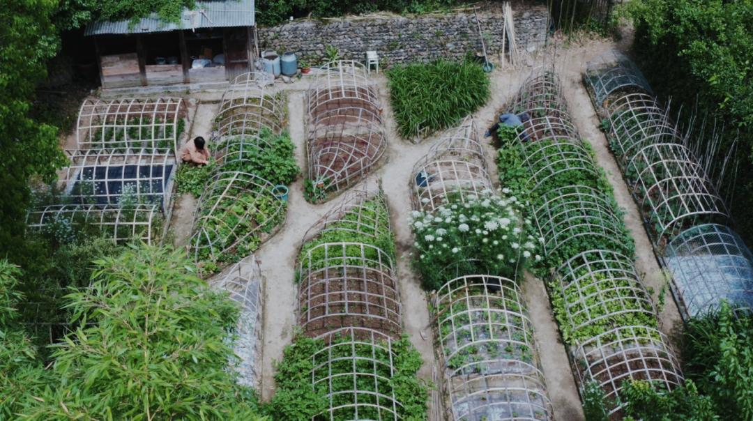 Bỏ việc ở tuổi 40, cặp vợ chồng kỹ sư về qu&ecirc; cải tạo nh&agrave; cổ, l&agrave;m khu vườn 1.200m&sup2;: 7 năm sau kh&ocirc;ng muốn trở lại th&agrave;nh phố- Ảnh 16.