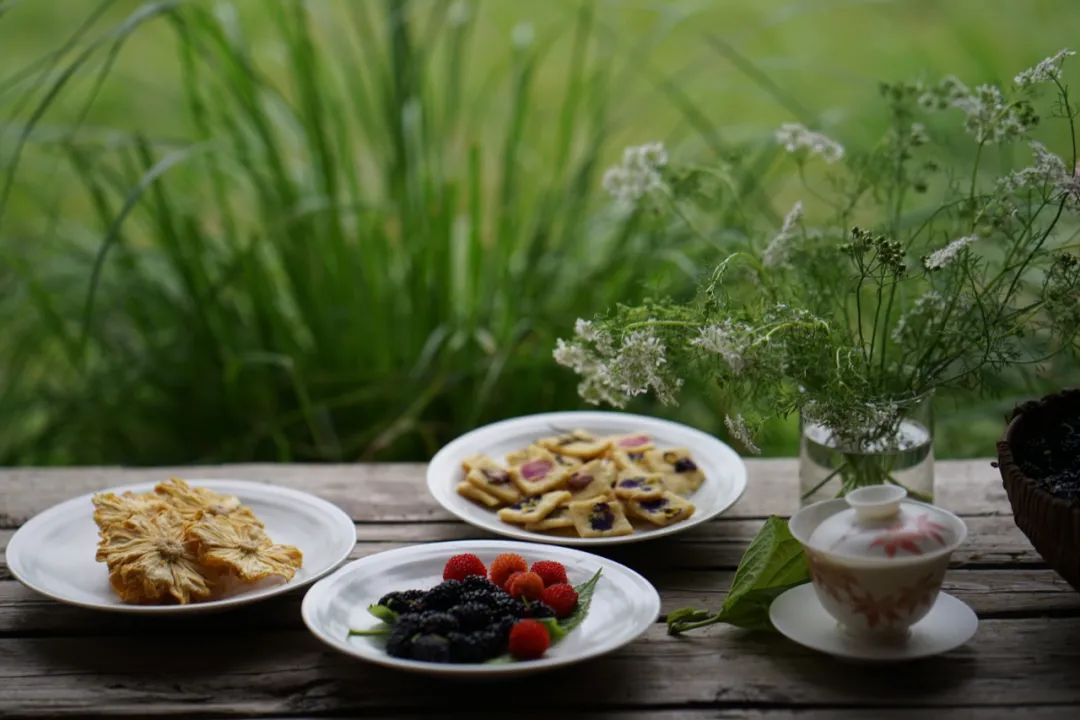 Bỏ việc ở tuổi 40, cặp vợ chồng kỹ sư về qu&ecirc; cải tạo nh&agrave; cổ, l&agrave;m khu vườn 1.200m&sup2;: 7 năm sau kh&ocirc;ng muốn trở lại th&agrave;nh phố- Ảnh 7.