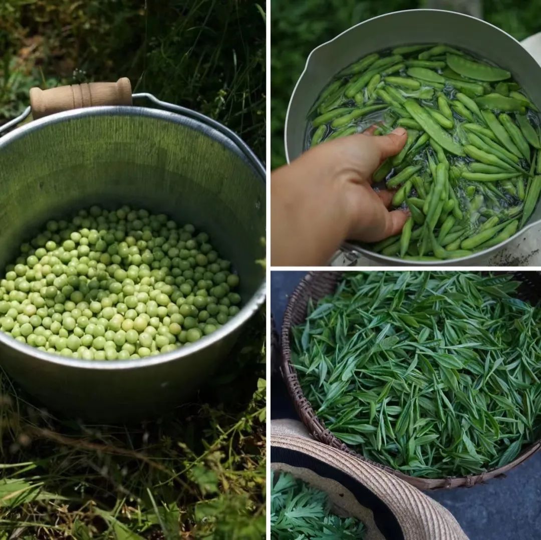 Bỏ việc ở tuổi 40, cặp vợ chồng kỹ sư về qu&ecirc; cải tạo nh&agrave; cổ, l&agrave;m khu vườn 1.200m&sup2;: 7 năm sau kh&ocirc;ng muốn trở lại th&agrave;nh phố- Ảnh 6.