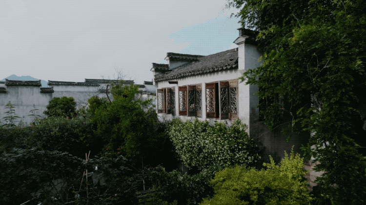 Bỏ việc ở tuổi 40, cặp vợ chồng kỹ sư về qu&ecirc; cải tạo nh&agrave; cổ, l&agrave;m khu vườn 1.200m&sup2;: 7 năm sau kh&ocirc;ng muốn trở lại th&agrave;nh phố- Ảnh 14.