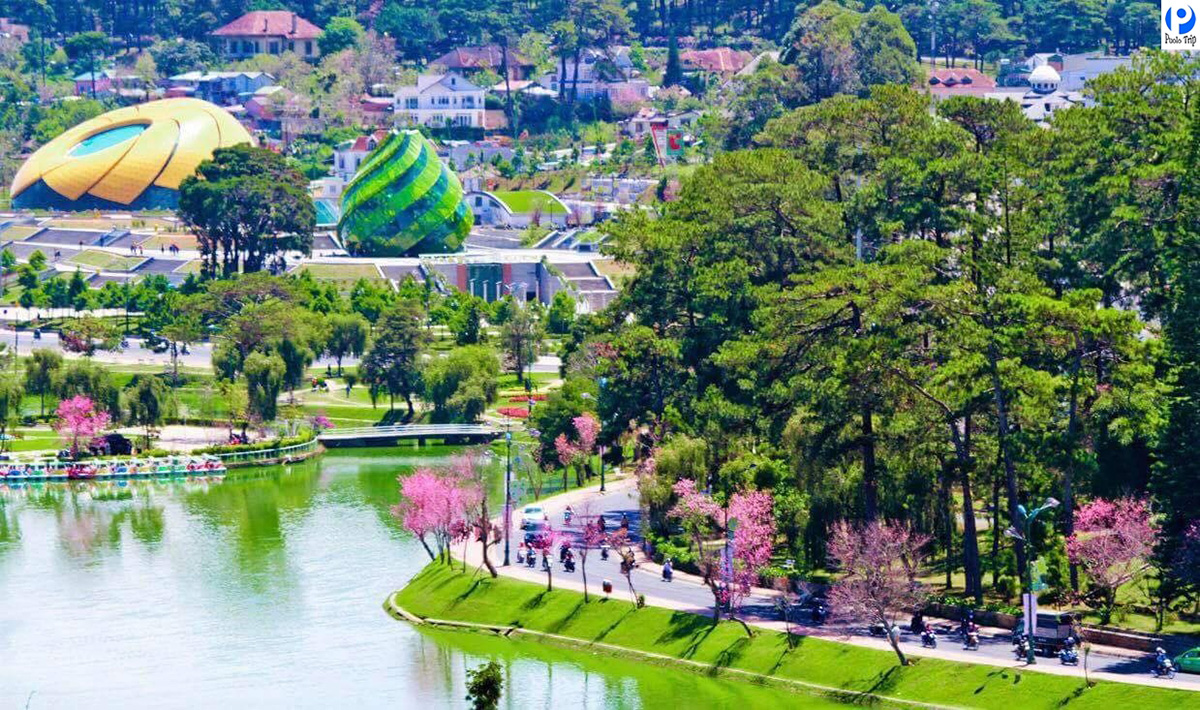 Đ&agrave; Lạt bất ngờ xuất hiện điều hiếm thấy suốt hơn 15 năm v&agrave;o đ&uacute;ng dịp 2/9 - Ảnh 2.