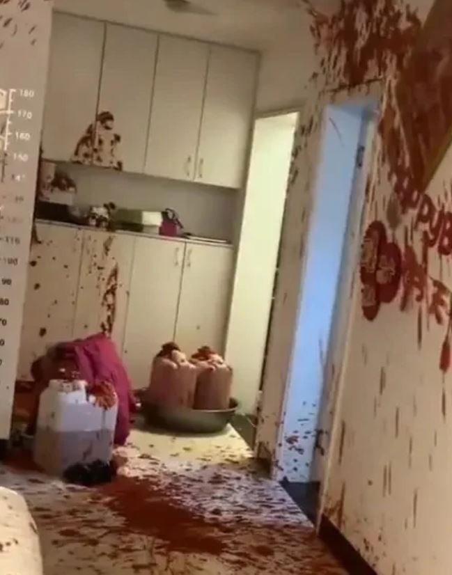 Ra ph&ograve;ng kh&aacute;ch sau tiếng nổ lớn, người đ&agrave;n &ocirc;ng chứng kiến cảnh tượng "nổi da g&agrave;" - Ảnh 1.