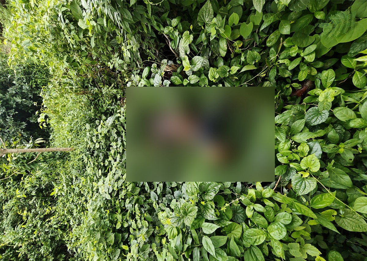 Vụ thi thể ph&acirc;n hủy dưới đ&aacute;m cỏ: Lộ diện hung thủ s&aacute;t hại người b&aacute;n v&eacute; số, cướp 450.000 đồng- Ảnh 1.