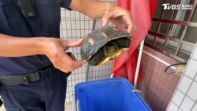 Sau nhiều ng&agrave;y mưa lớn, người d&acirc;n ph&aacute;t hiện cảnh tượng hiếm gặp tr&ecirc;n đường: Cảnh s&aacute;t lập tức c&oacute; mặt- Ảnh 3.