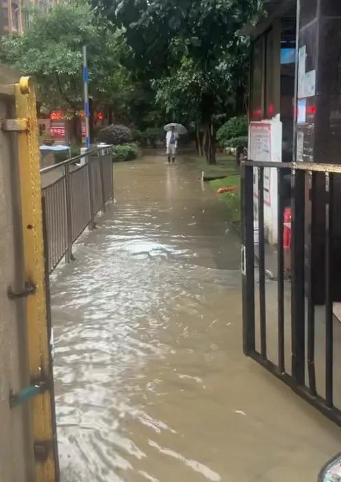 Mua căn hộ tầng một v&igrave; m&ecirc; khoảng s&acirc;n, sau một trận ngập mới hiểu khoản tiền tiết kiệm chẳng thấm v&agrave;o đ&acirc;u- Ảnh 3.