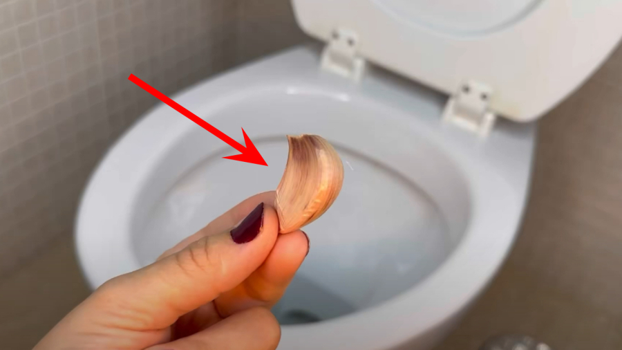 V&igrave; sao ng&agrave;y c&agrave;ng nhiều gia đ&igrave;nh th&iacute;ch bỏ 1 t&eacute;p tỏi v&agrave;o bồn cầu mỗi đ&ecirc;m? - Ảnh 1.