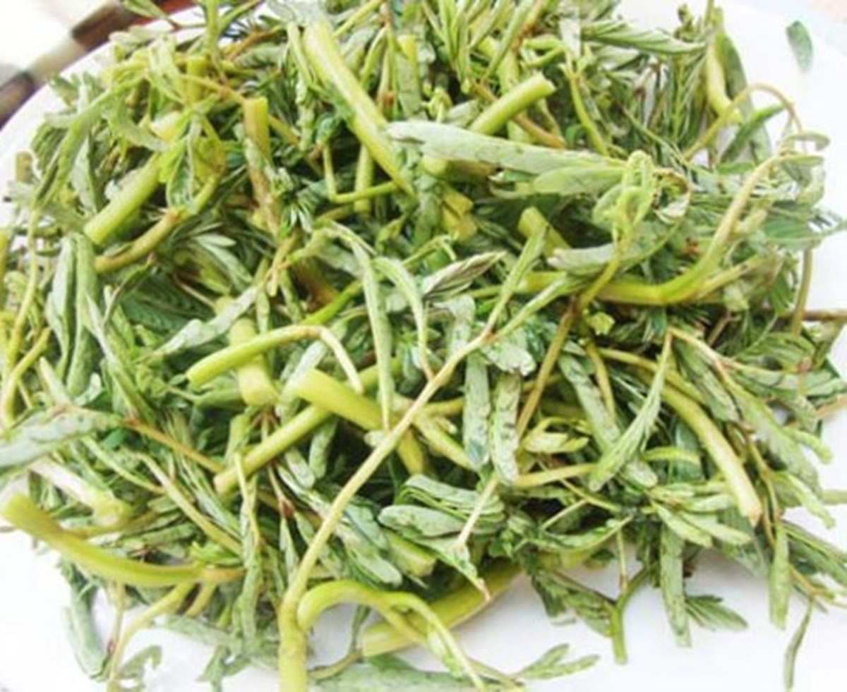 Ăn 1 nắm rau n&agrave;y "tốt ngang thịt", nh&igrave;n qua tưởng cỏ dại - Ảnh 3.
