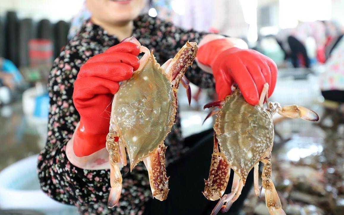 Ăn m&oacute;n kho&aacute;i khẩu, người đ&agrave;n &ocirc;ng 55 tuổi "rước" ấu tr&ugrave;ng s&aacute;n d&acirc;y v&agrave;o tủy sống suốt 12 năm m&agrave; kh&ocirc;ng hay - Ảnh 1.