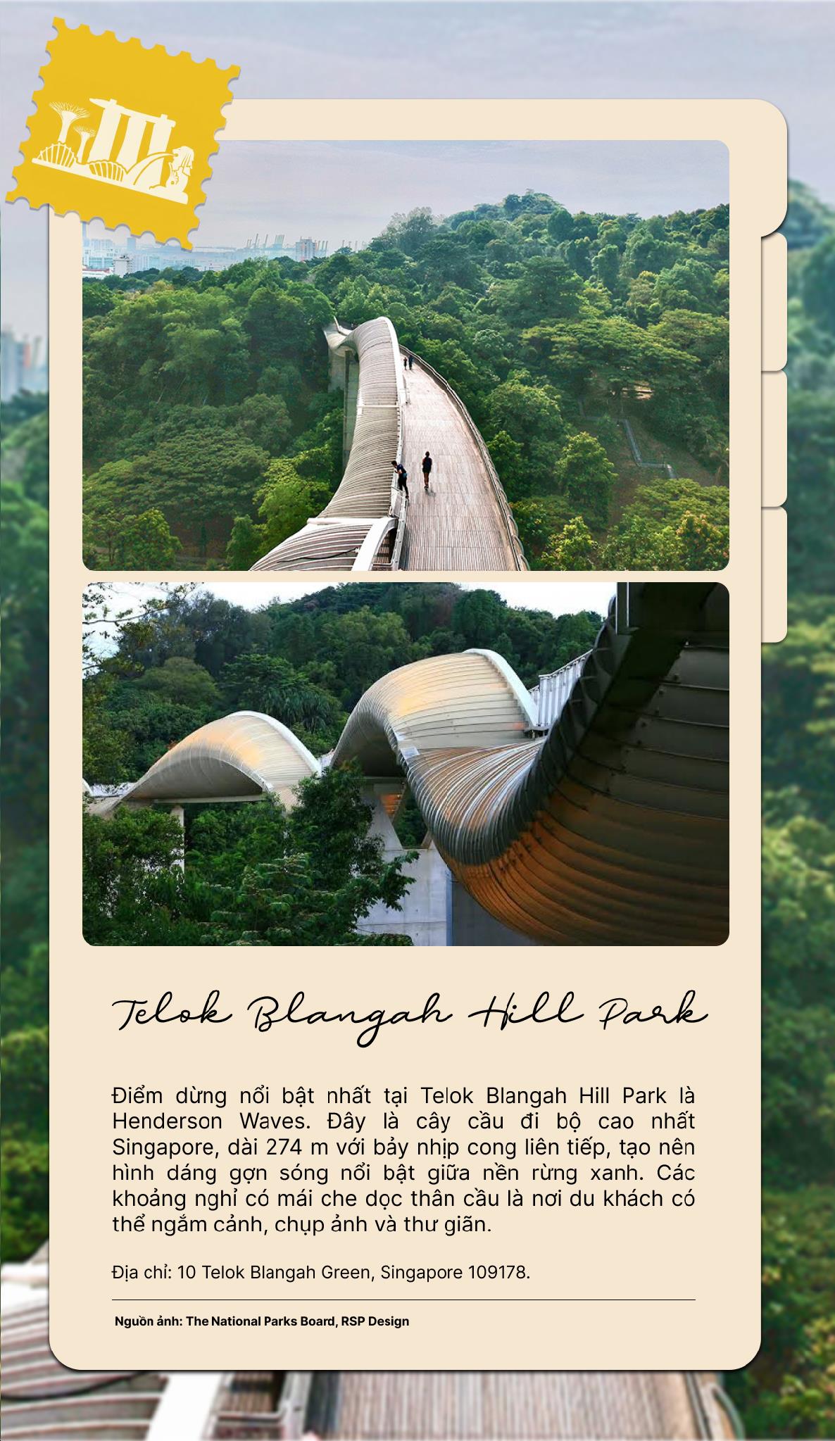 Một Singapore rất khác qua những con đường “bí mật” men theo triền đồi xanh - Ảnh 3.