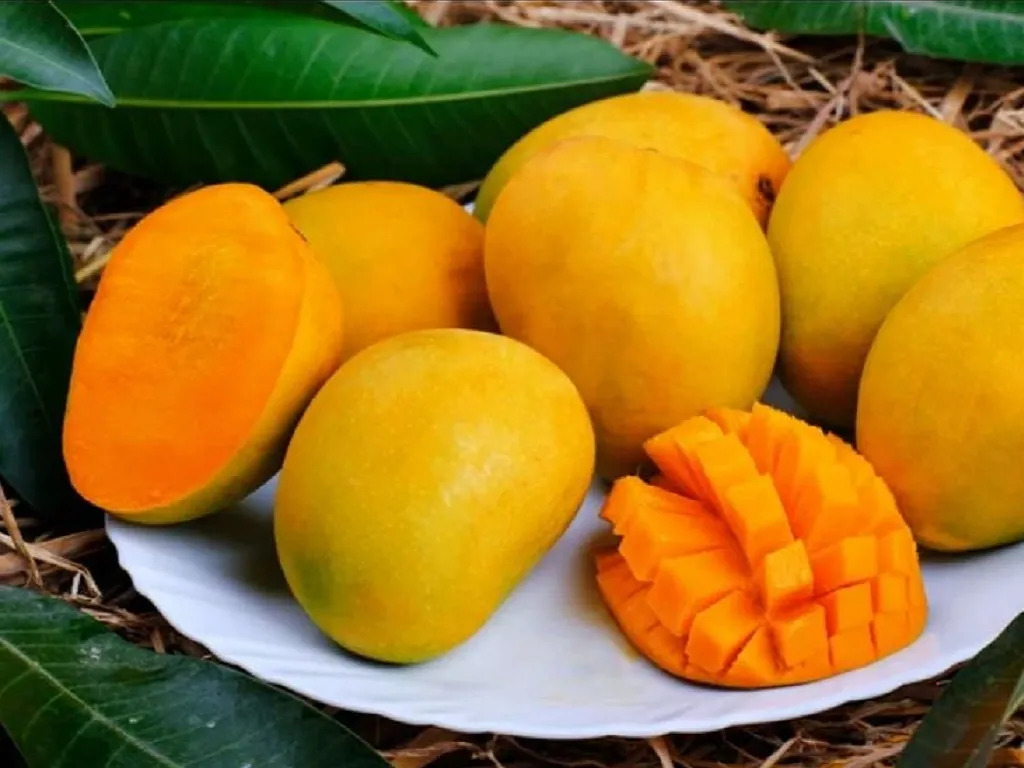 4 loại quả ngon b&aacute;c sĩ khuy&ecirc;n đừng ăn qu&aacute; nhiều v&agrave;o m&ugrave;a h&egrave;: Hại dạ d&agrave;y, l&aacute; l&aacute;ch, to&agrave;n m&oacute;n quen  của nhiều gia- Ảnh 3.