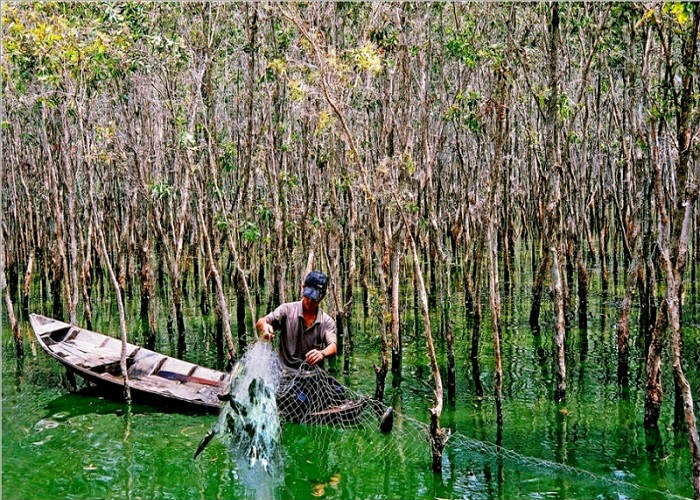 Việt Nam c&oacute; khu rừng thuộc dạng hiếm bậc nhất thế giới, chia đ&ocirc;i bởi 1 d&ograve;ng s&ocirc;ng, 3 tổ chức c&ugrave;ng vinh danh - Ảnh 6.