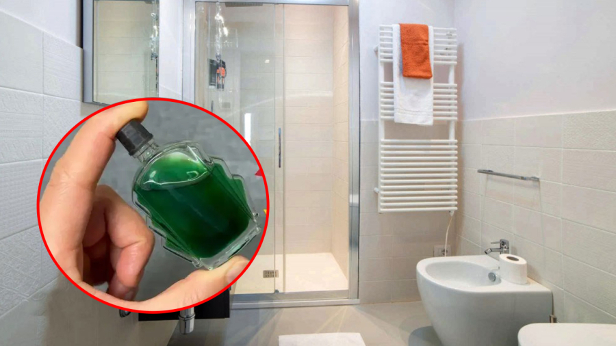 V&igrave; sao ng&agrave;y c&agrave;ng nhiều gia đ&igrave;nh th&iacute;ch đặt 1 lọ dầu gi&oacute; trong nh&agrave; vệ sinh? - Ảnh 1.