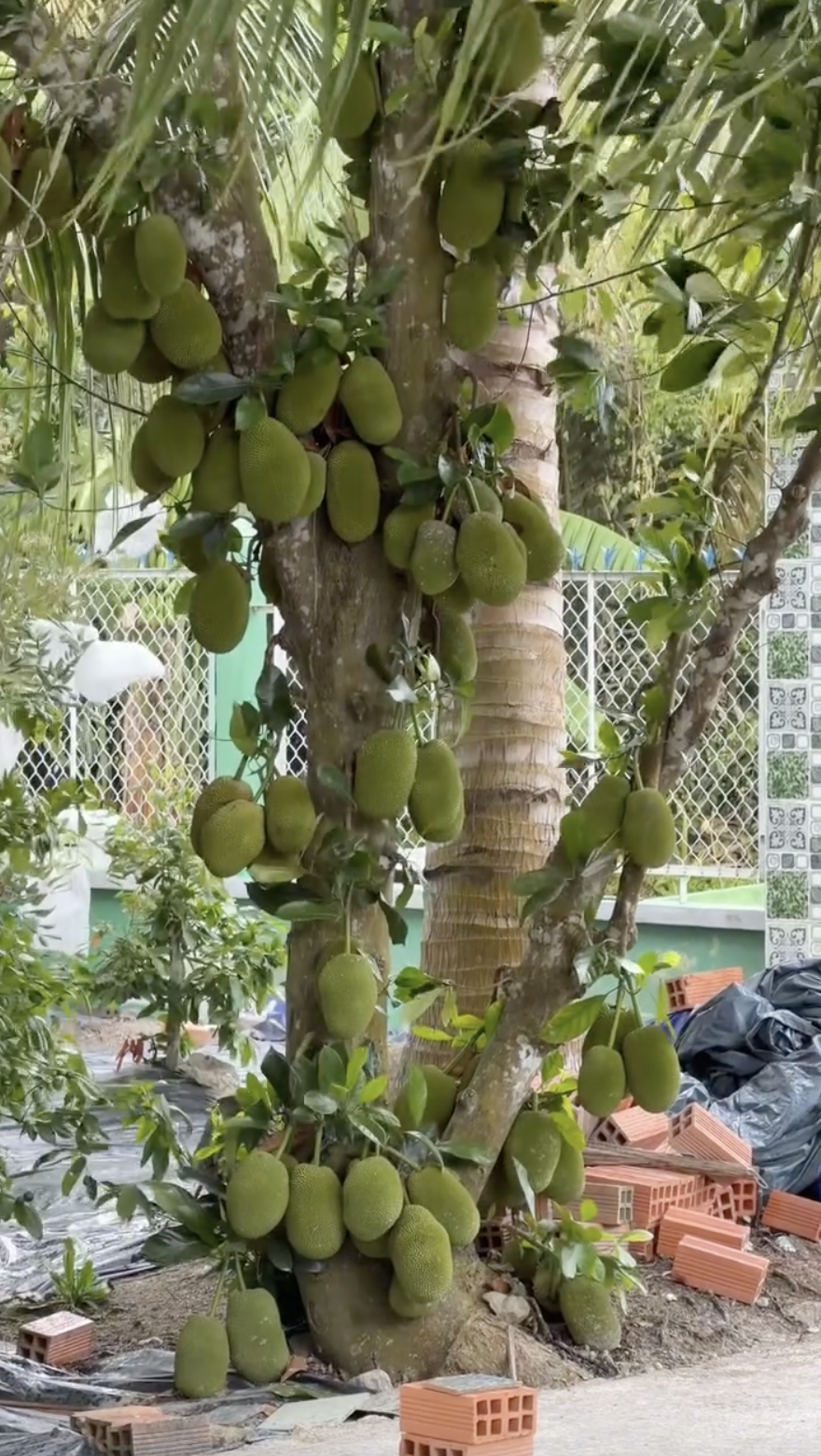 Căn nhà ở quê của Kiều Tiên- Ảnh 5.
