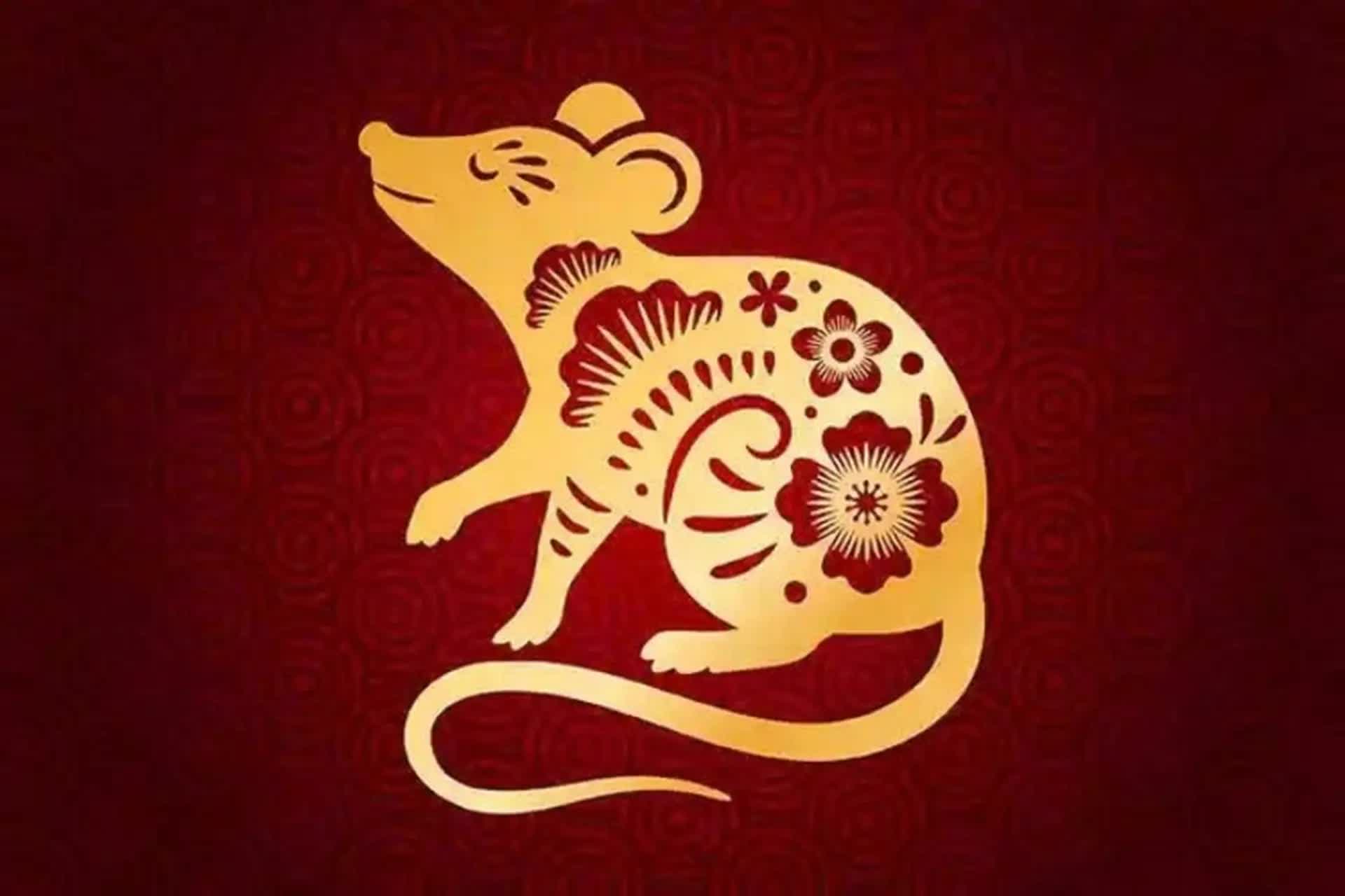 Điểm yếu của người tuổi T&yacute; - Ảnh 1.