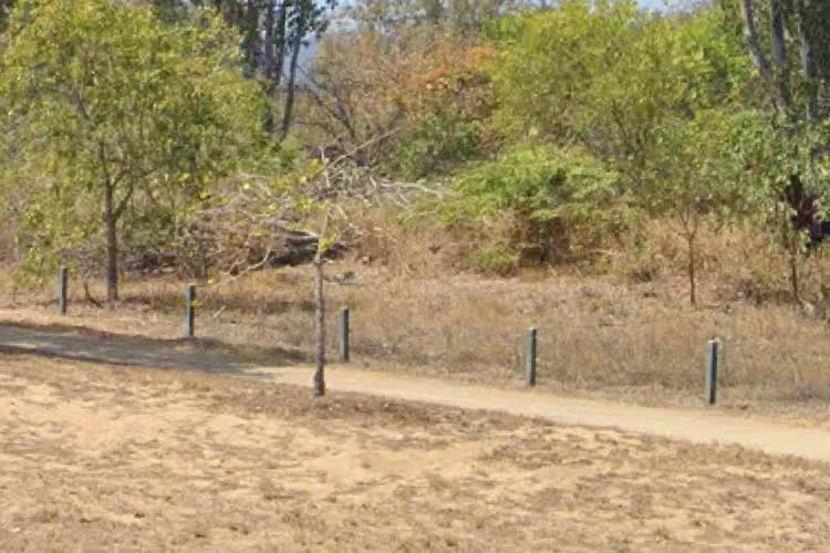 Ph&aacute;t hiện một thiếu ni&ecirc;n bị tra tấn, quấn trong nilon v&agrave; tr&oacute;i v&agrave;o c&acirc;y trong bụi rậm- Ảnh 1.