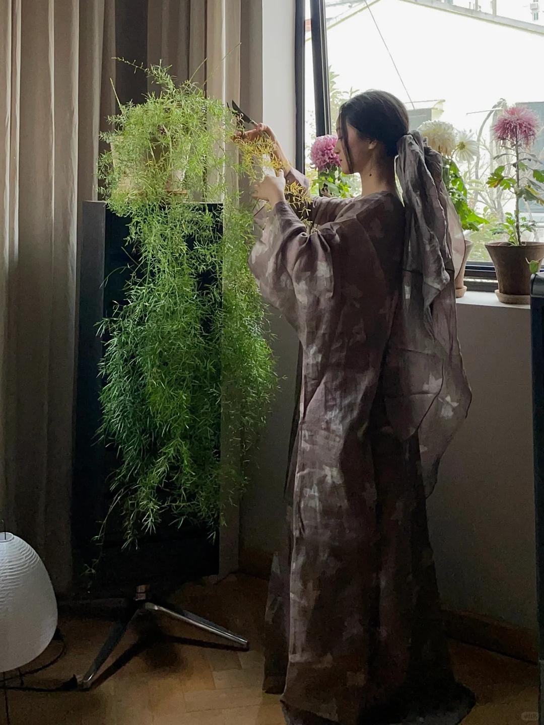Người phụ nữ chỉ đặt một chậu c&acirc;y 4 năm tuổi trong ph&ograve;ng kh&aacute;ch, ai bước v&agrave;o đều khen: &ldquo;Nh&igrave;n th&ocirc;i đ&atilde; thấy thư th&aacute;i&rdquo;- Ảnh 1.