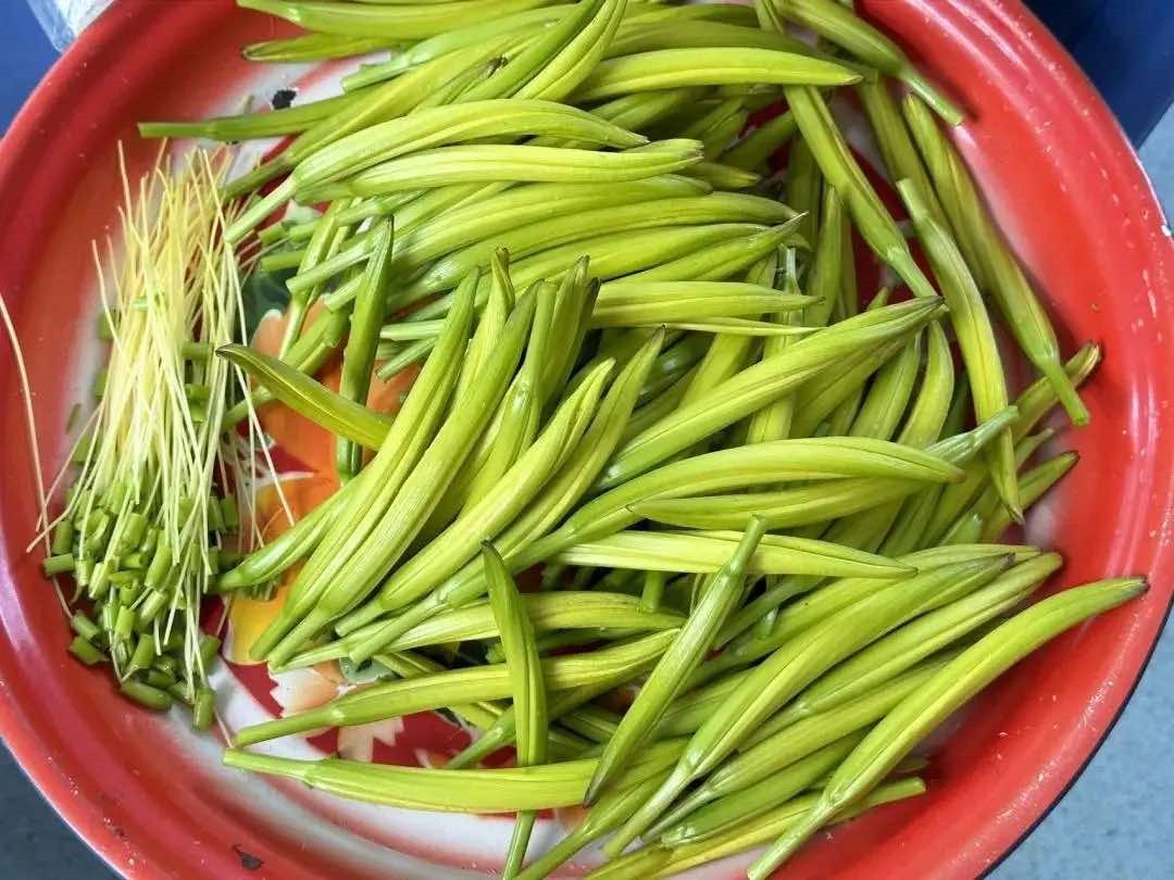 Khi m&ugrave;a thu bắt đầu, n&ecirc;n phơi kh&ocirc; 4 loại rau n&agrave;y, bảo quản trong tủ lạnh v&agrave; d&ugrave;ng để nấu ăn đến tận năm sau- Ảnh 14.
