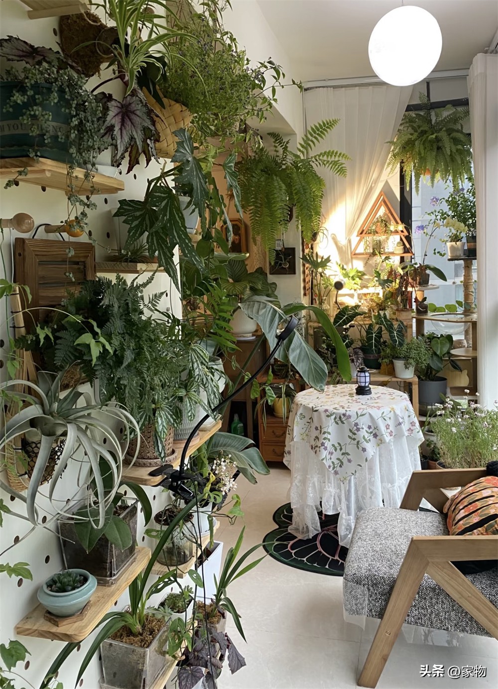 Ng&ocirc;i nh&agrave; &ldquo;ngập tr&agrave;n c&acirc;y xanh&rdquo; của c&ocirc; g&aacute;i trẻ g&acirc;y sốt: Gần 100 chậu c&acirc;y phủ k&iacute;n ph&ograve;ng kh&aacute;ch v&agrave; ban c&ocirc;ng, c&agrave;ng nh&igrave;n c&agrave;ng thấy thư th&aacute;i - Ảnh 7.
