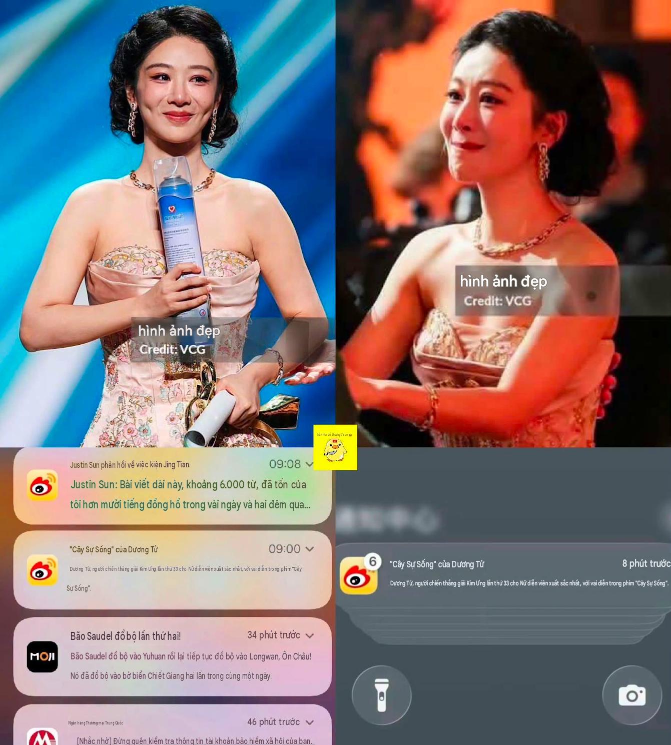 Dương Tử bị vạch mặt- Ảnh 2.