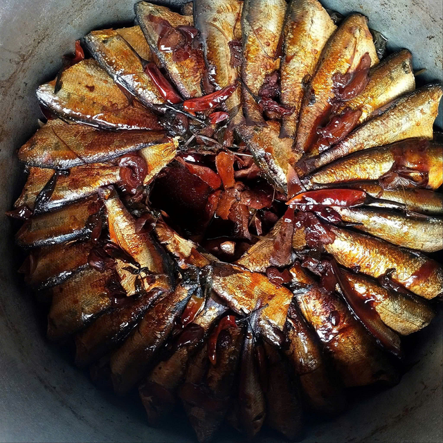 Chuy&ecirc;n gia Mỹ gọi t&ecirc;n lo&agrave;i c&aacute; "tốt bậc nhất thế giới", h&oacute;a ra ở chợ Việt b&aacute;n đầy- Ảnh 1.