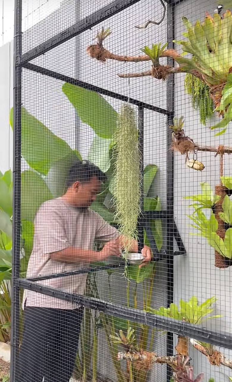 Nh&agrave; cho chim ở gi&aacute; 6,5 triệu của một TikToker: B&ecirc;n trong c&oacute; g&igrave;?- Ảnh 7.