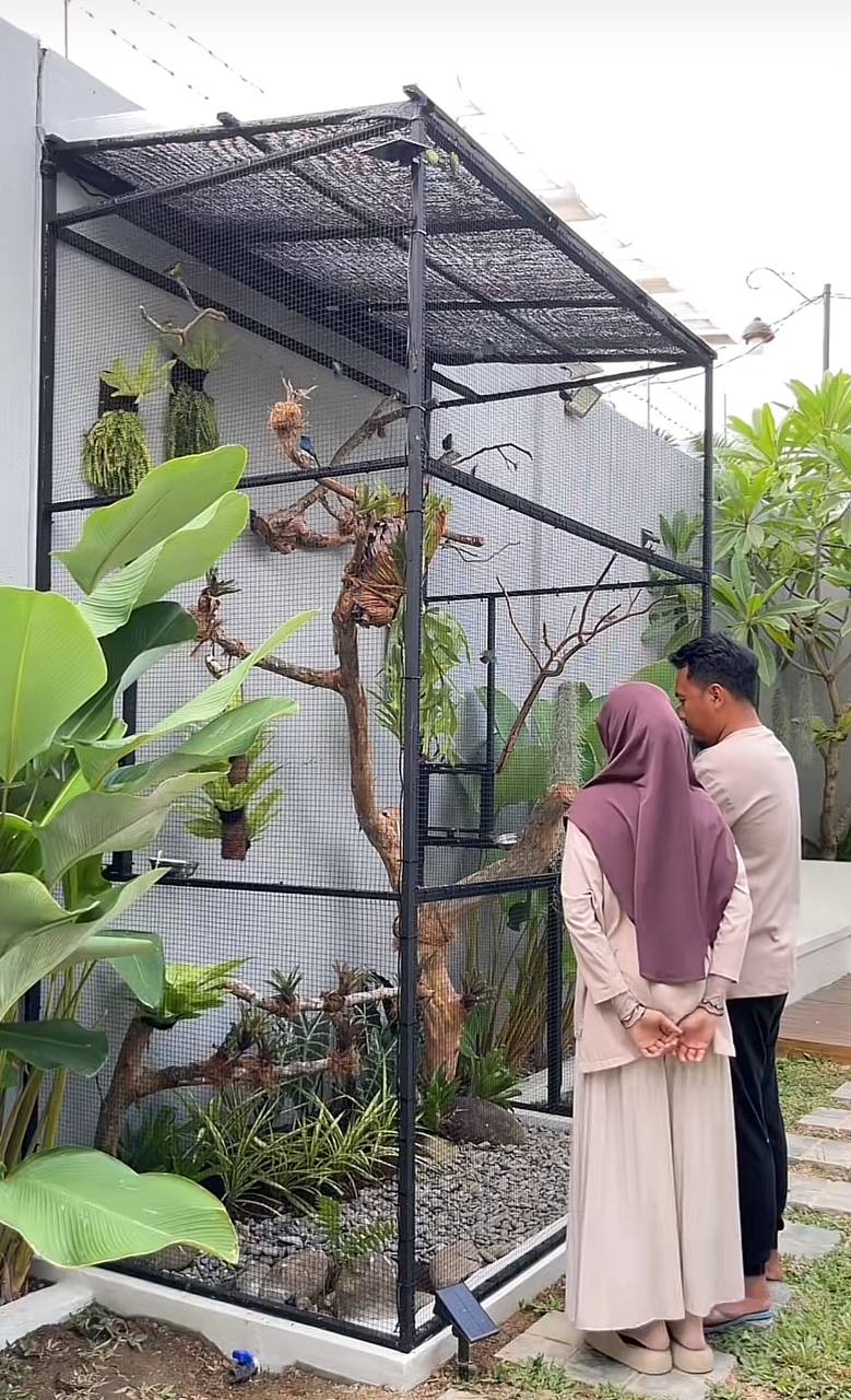 Nh&agrave; cho chim ở gi&aacute; 6,5 triệu của một TikToker: B&ecirc;n trong c&oacute; g&igrave;?- Ảnh 9.
